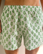 Boxer Shorts - Green and White